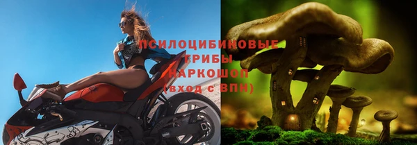 трава Верхнеуральск