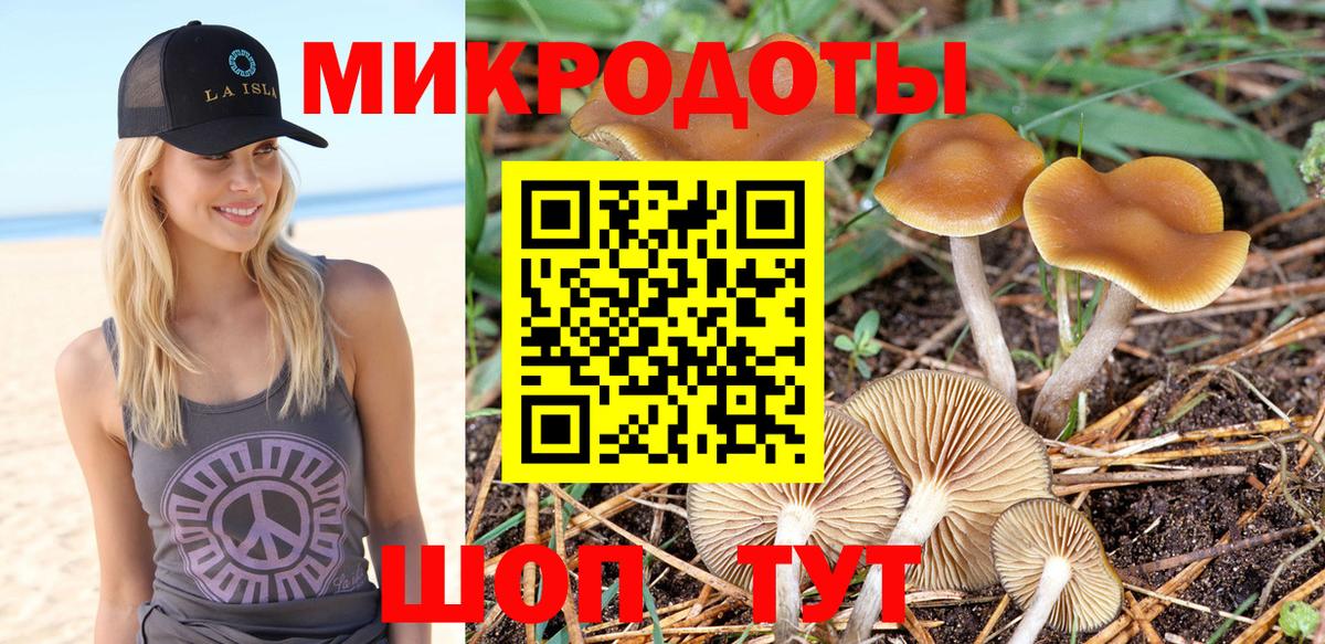 Псилоцибиновые грибы мухоморы  Вход с VPN  Галлюциногенные грибы мухоморы  сколько стоит  Славянск-на-Кубани 