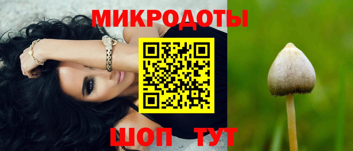 Псилоцибиновые грибы мицелий Славянск-на-Кубани