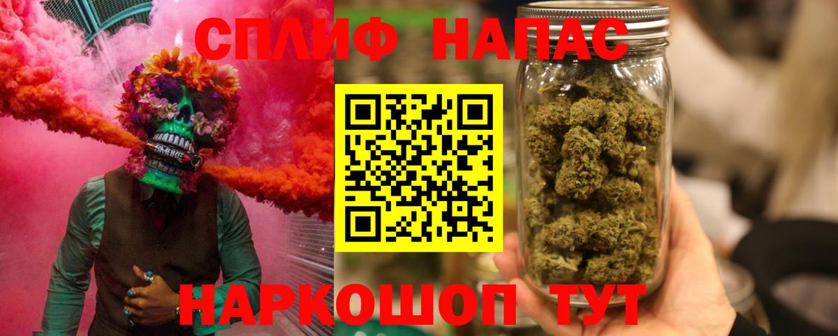 Бошки марихуана план Славянск-на-Кубани